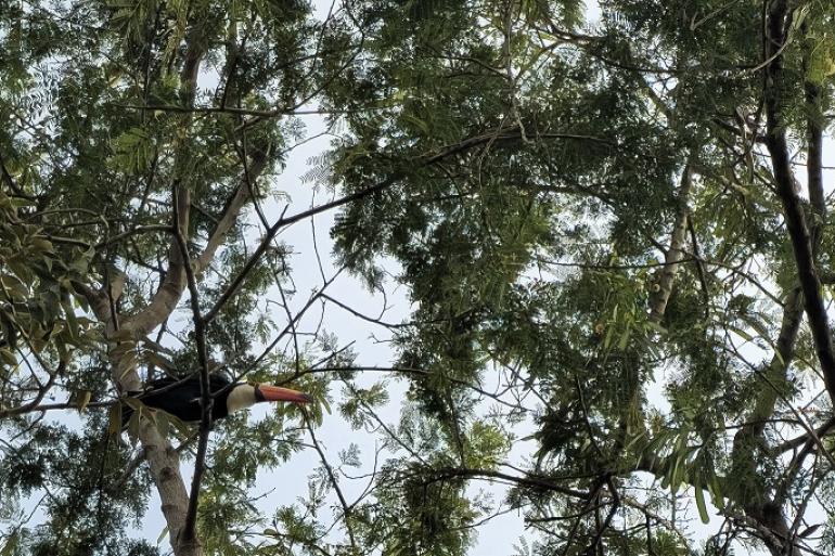 Ribeiro de Abreu recebe primeira edição do Evento Clima de Parque no próximo sábado (28), com apoio da PBH