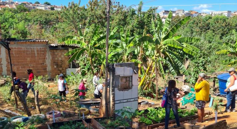 Urbel promove troca de experiência entre comunidades com projetos de Hortas Comunitárias Urbel promove troca de experiência entre comunidades com projetos de Hortas Comunitárias