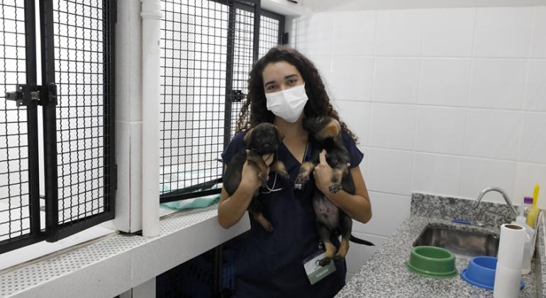 Hospital Veterinário não terá atendimento ao público externo no feriado