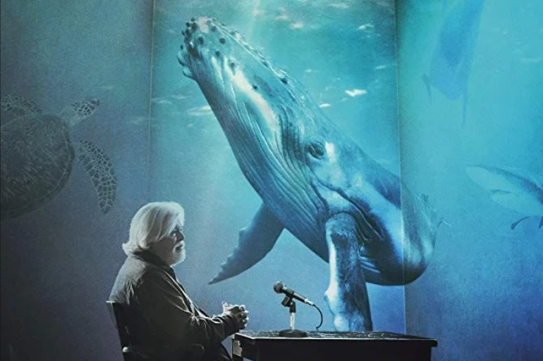 Cine Santa Tereza recebe Mostra Internacional de Cinema pelos Animais Cine Santa Tereza recebe Mostra Internacional de Cinema pelos Animais
