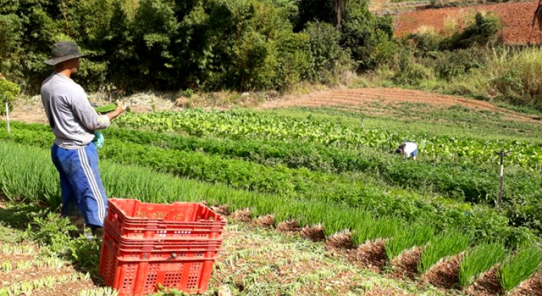 Agricultura Urbana: agroecologia, alimentação, saúde e bem-estar