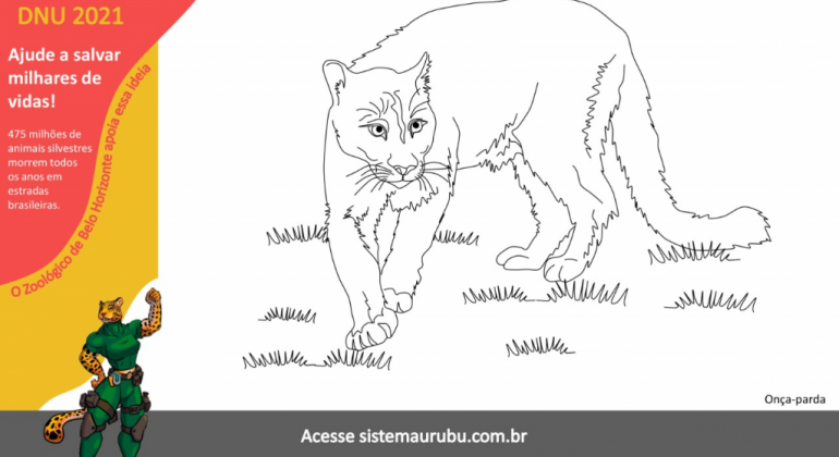 Ações no Zoológico marcam o Dia Nacional de Urubuzar Dia nacional de Urubuzar DNU 2021