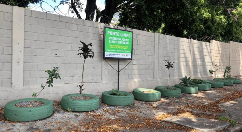 Canteiro cheio de pneus pintados servindo de vasos para plantas