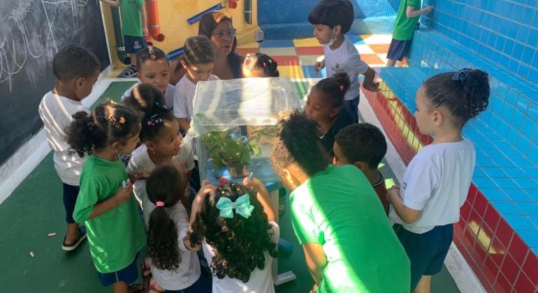 Emei cria borboletário integrado à Horta Escolar no Projeto Eco Escola Emei cria borboletário integrado à Horta Escolar no Projeto Eco Escola