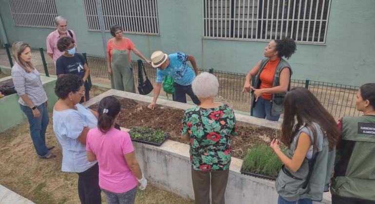Prefeitura entrega primeira horta adaptada para idosos na cidade