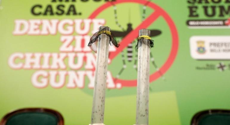 PBH processa proprietários de lotes com foco de proliferação de Aedes aegypti PBH processa proprietários de lotes com foco de proliferação de Aedes aegyptiPBH processa proprietários de lotes com foco de proliferação de Aedes aegypti