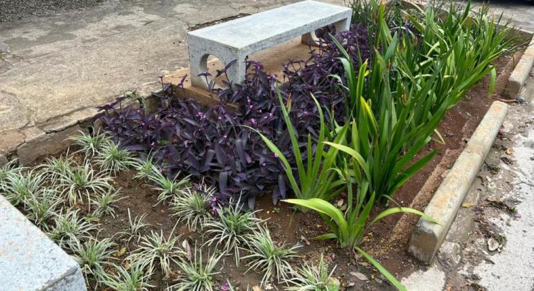 PBH vai entregar mais 32 jardins de chuva no próximo mês