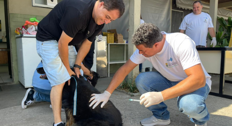 PBH imuniza 236 mil cães e gatos contra raiva e mantém estratégia nesta semana PBH imuniza 236 mil cães e gatos contra raiva e mantém estratégia nesta semana