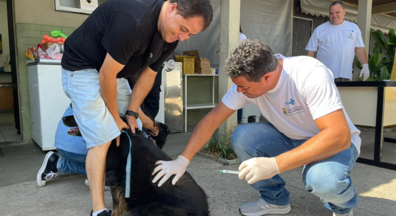 PBH imuniza 236 mil cães e gatos contra raiva e mantém estratégia nesta semana