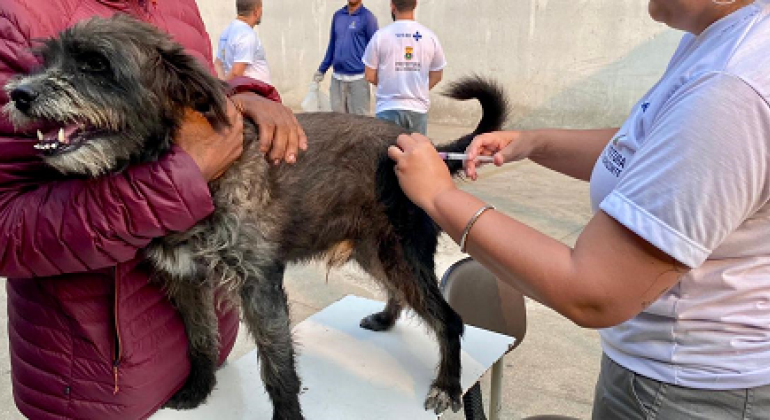 Prefeitura de BH promove vacinação de animais contra a raiva em shopping da região Nordeste