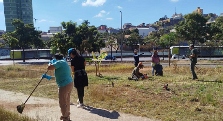 Mutirão com apoio de voluntários fará limpeza e manutenção de plantios no IAPI neste domingo (3)