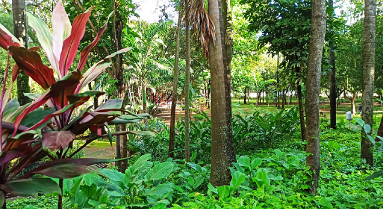 Trilha inédita no Parque Municipal promove a inclusão de pessoas com deficiência 