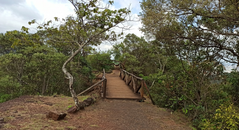Trilha do Cerrado é uma das atrações do Parque das Mangabeiras neste domingo (12)