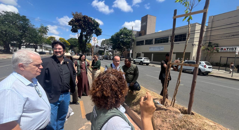 Secretaria de Meio Ambiente faz plantios de mudas no Estoril e Barro Preto