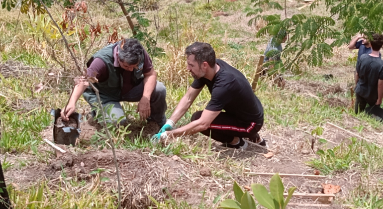 Plantio de 514 mudas na Serra do Engenho Nogueira será concluído ao longo desta semana Plantio de 514 mudas na Serra do Engenho Nogueira será concluído ao longo desta semana