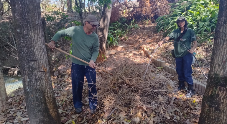 PBH promove oficinas de plantio e manejo em Centros de Vivência Agroecológica PBH promove oficinas de plantio e manejo em Centros de Vivência Agroecológica