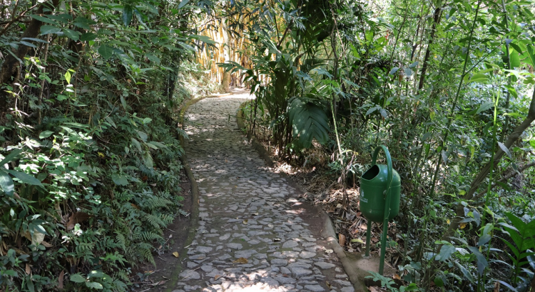 Áreas de visitação no Parque da Mata das Borboletas são ampliadas Áreas de visitação no Parque da Mata das Borboletas são ampliadas