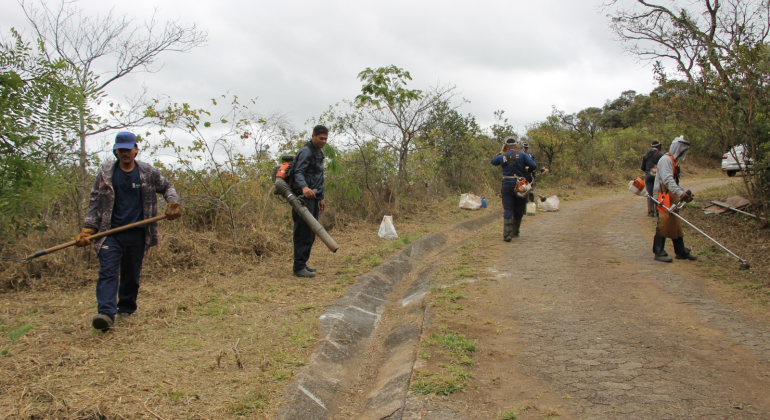 Seminário sobre manejo do fogo nesta sexta-feira (28) tem inscrições gratuitas