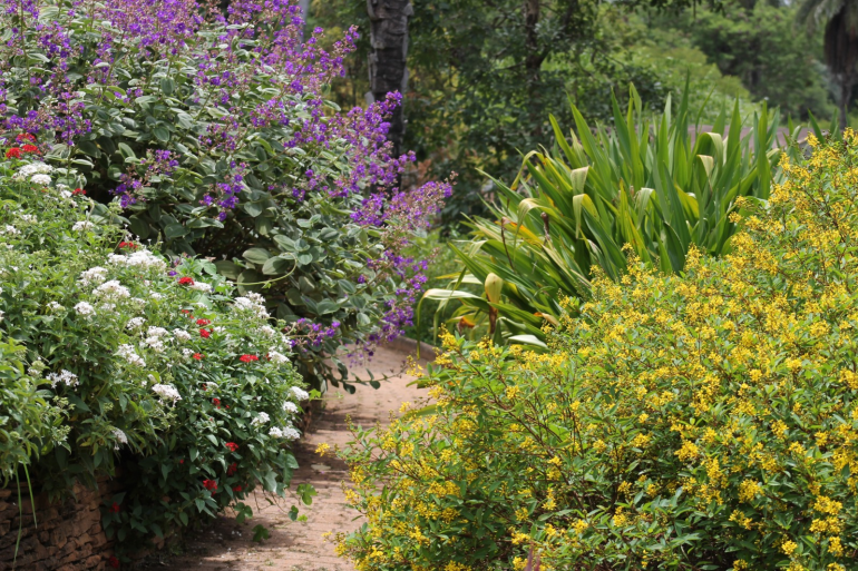 Jardim Botânico passa por revitalização e fica mais atraente para os visitantes