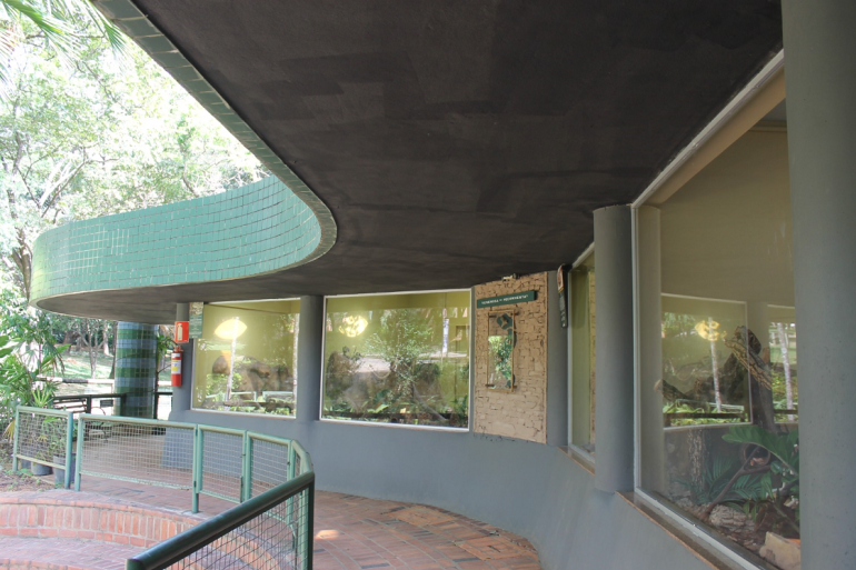 Casa de Répteis do Zoo de BH tem projeto especial de Bem-Estar Animal 