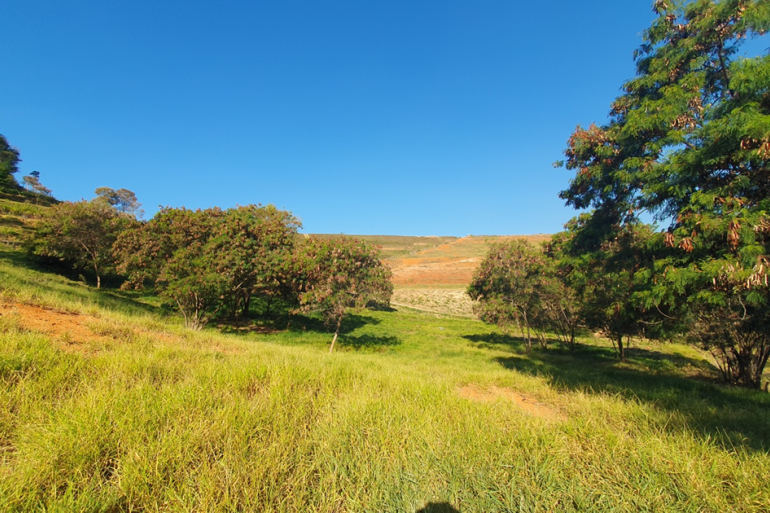 Consulta pública é aberta para planejamento de novo parque urbano em antigo aterro
