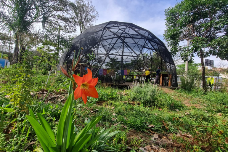 Abertas as inscrições para o curso Conexão Agroecológica Abertas as inscrições para o curso Conexão Agroecológica