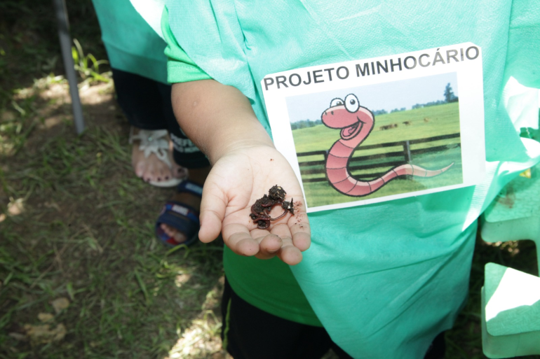 Minhocário faz sucesso com crianças e promove educação ambiental em escola municipal 