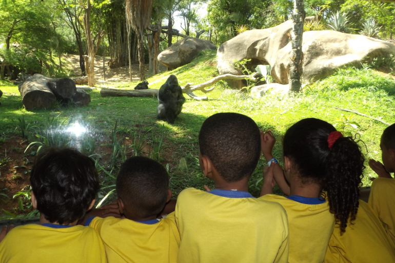 Espaços da Zoobotânica oferecem visitas livres, atividades educativas e gratuidade de acesso Espaços da Zoobotânica oferecem visitas livres, atividades educativas e gratuidade de acesso
