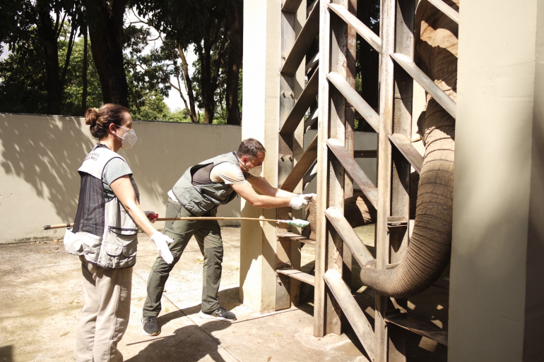 Dia do Trabalhador: Zoo de BH promove bate-papo educativo sobre conservação ambiental