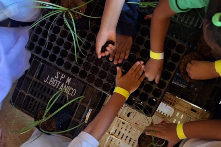 Programa Escola Verde amplia ações de educação ambiental nas Emeis