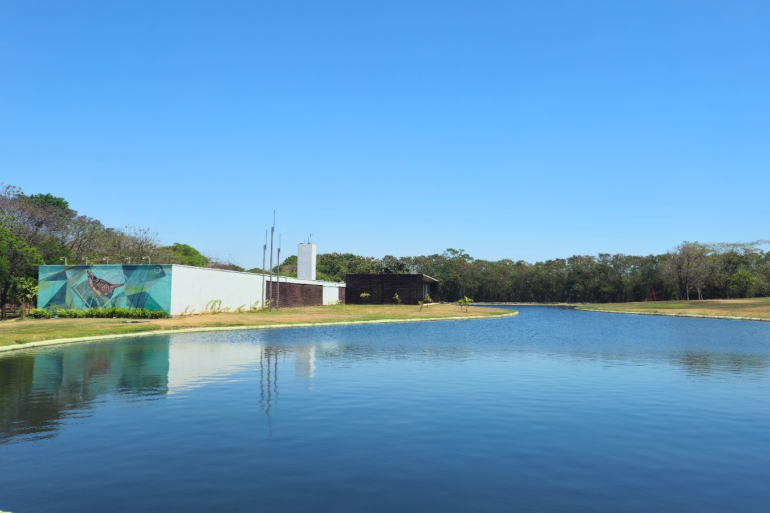 Parque da Pampulha será palco da Orquestra Filarmônica de Minas Gerais neste final de semana