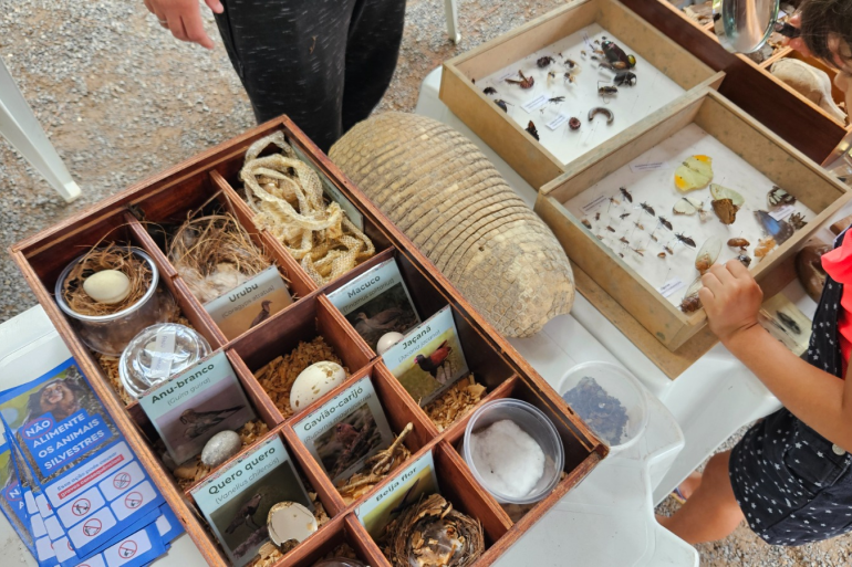 Parque Municipal recebe mostra educativa sobre biodiversidade em comemoração ao Dia Mundial do Meio Ambiente Parque Municipal recebe mostra educativa sobre biodiversidade em comemoração ao Dia Mundial do Meio Ambiente