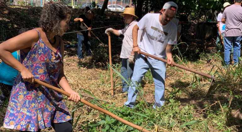BH recebe prêmio internacional por liderança climática na América Latina Pessoas cuidando de agrofloresta no bairro Ribeiro de Abreu