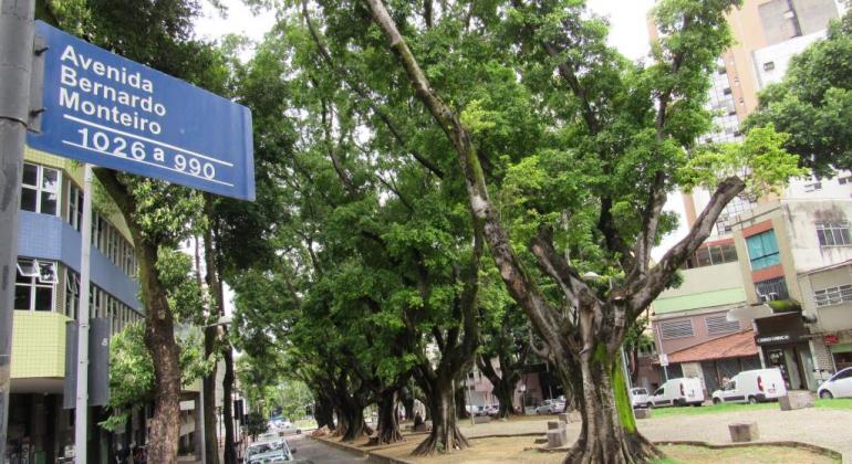 Foto de uma placa de rua com os dizeres "Avenida Bernardo Monteiro" em primeiro plano. Ao fundo, está a av. Bernardo Monteiro. 