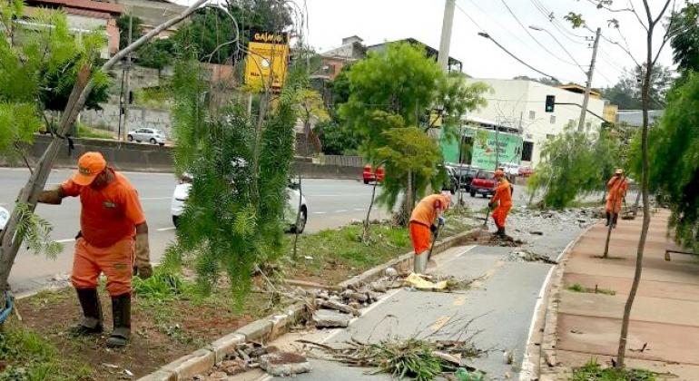 Funcionários da SLU retiram plantas e galhos caídos da avenida Teresa Cristina