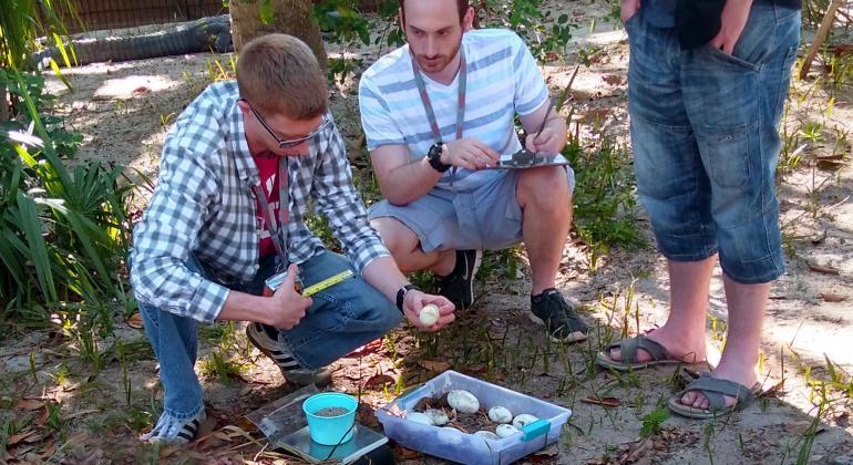 Profissionais de Biologia ensinam técnicas de manejo dos ovos de réptil durante o dia na Flórida, em curso frequantado por biólogo da FZB.