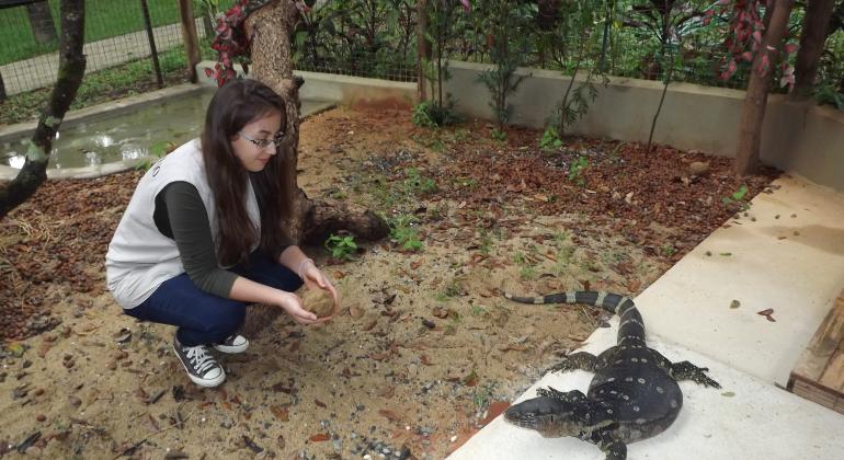 Fundação Zoo-Botânica - Foto: Suziane Fonseca Mulher agachada de frente para um tiú