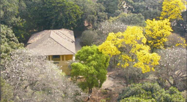 foto da telhado de uma casa que está cercada de arvores. Algumas arvores estão bem floridas, suas flores são amarelas. 
