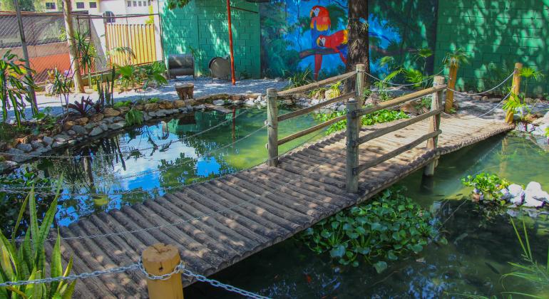 Pequeno lago na Escola Municipal Francisco Magalhães Gomes, com ponte de madeira e vegetais em volta. 