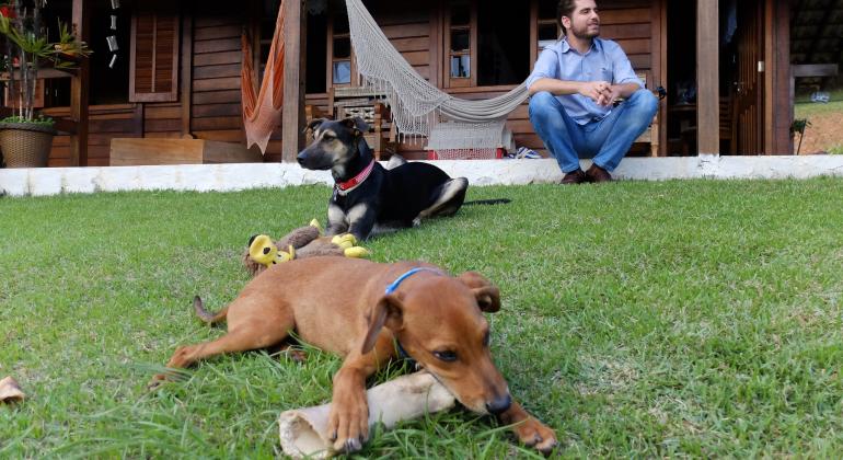 Os cães Cravo e Sila brincam no jardim da casa de Olívio Mangerona, sentado ao fundo.