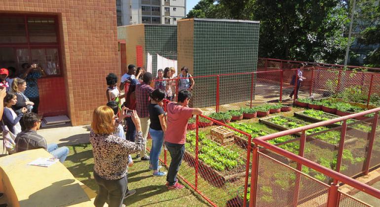 Estudantes estrangeiros observam horta de Escola Infantil