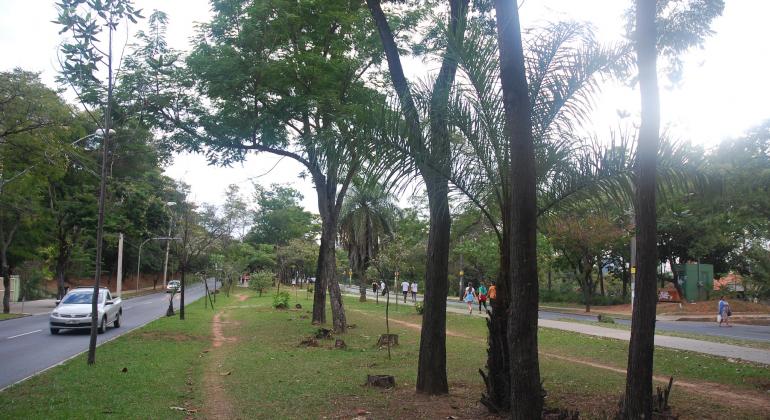 Com área de 51,5 mil metros quadrados, área em canteiro central na região Nordeste é espaço de lazer, descanso e práticas esportivas. Foto: Mara Damasceno/PBH Uma sequência de árvores no Parque Linear, que fica na Avenida José Cândido da Silveira, durante o dia