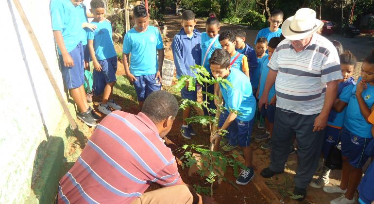 Grupo de crianças da rede municipal de educação observa plantio de horta.
