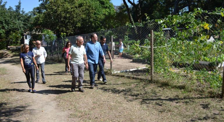 Algumas pessoas caminhando em uma horta.