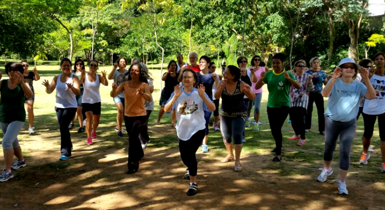 Terapia única que integra música, meditação e ritmo, atividade rejuvenescedora ocorre duas vezes por semana no Buritis. Foto: Denize Chaves Cerc de onze pessoas praticando dança chinesa rejuvenescedora em local com muito verde no Buritis