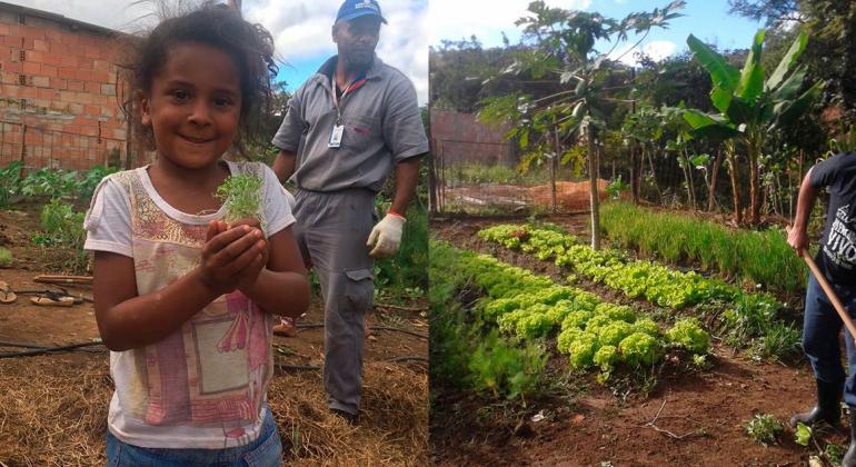 Projeto Territórios Sustentáveis visita comunidade Isidora Criança na horta da comunidade Isidora