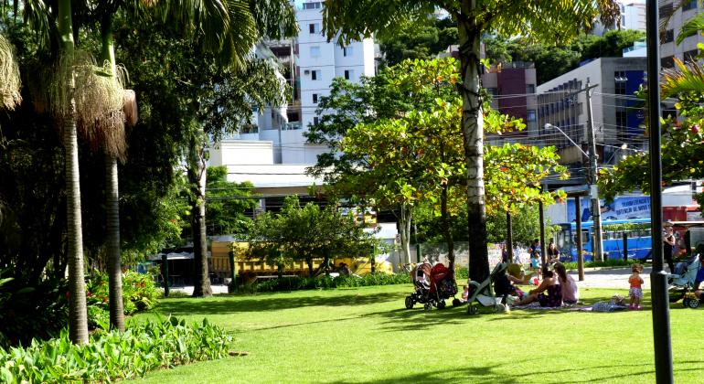 Cinco pessoas sentadas à beira da palmeira em parque no Buritis, local com muito verde e outras árvores.