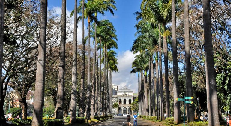 Foto do corredor central da Praça da Liberdade com palmeiras, árvores e o Palácio da Liberdade ao fundo.