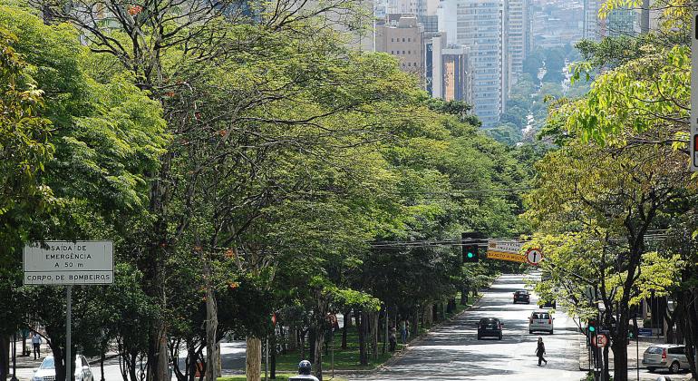 Belo Horizonte apresenta um bom nível da qualidade do ar; arborização contribui para manter o baixo índice de poluentes. Foto: Meio Ambiente/PBH Avenida repleta de árvores durante o dia.