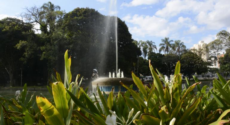 Detalhe de fonte de água detrás de folhagem no Parque Municipal Américo Renneé Giannetti durante o dia. 